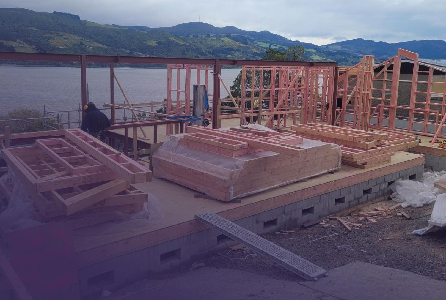 New build framing above Otago Harbour